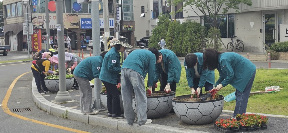 밀양시 내이동, 베고니아 식재로 쾌적한 도시경관 조성