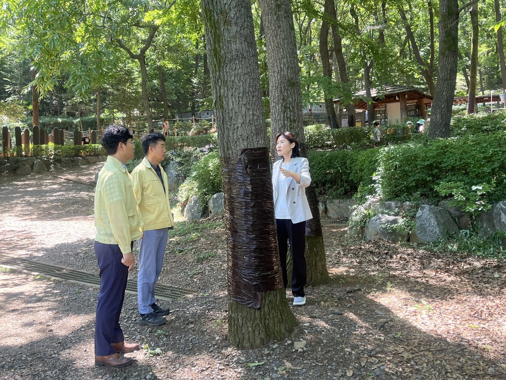 최혜민 광명시 부시장, 러브버그 대량 발생 대비 현장점검