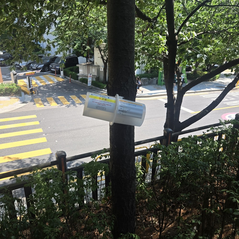 동작구, 러브버그 확산 막는다… 친환경 포집기 221대 설치