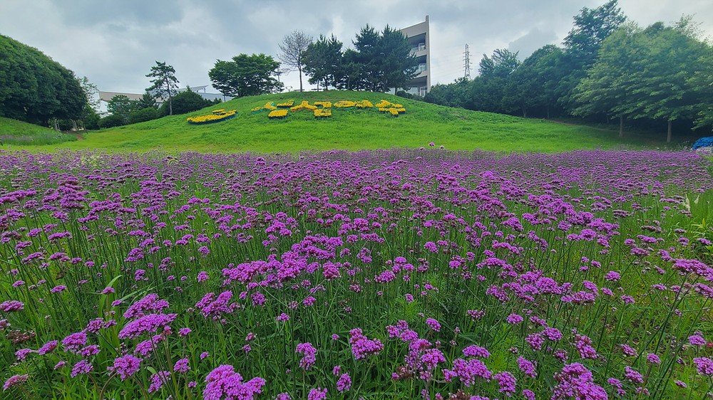 여수시, 선사유적공원 도시농업공간 ‘도심 속 힐링명소’ 자리매김