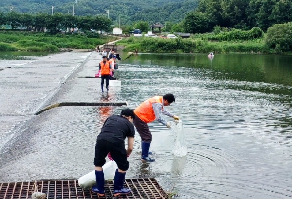 함양군, 내수면 수산자원 조성 위한 수산종자 106만여 마리 방류