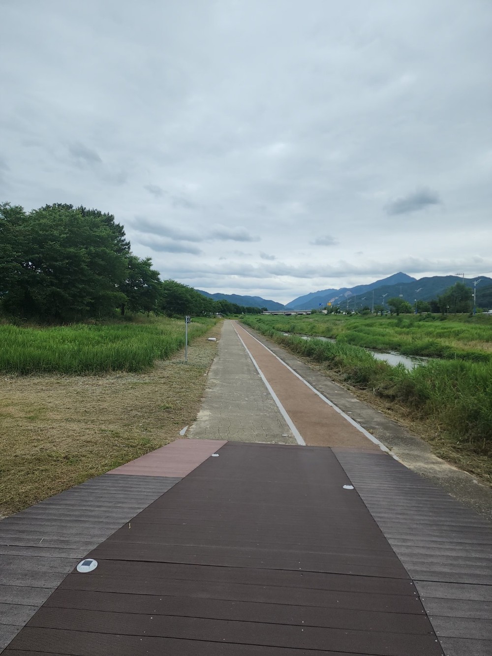 초전면 백천 제방 산책로 환경정비 실시 ‘걷고 싶은 힐링길’ 조성