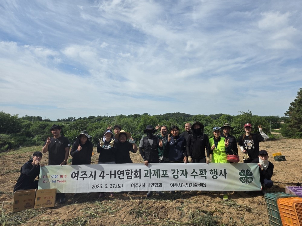 여주시, 4-H연합회 과제포 감자 수확행사 성료