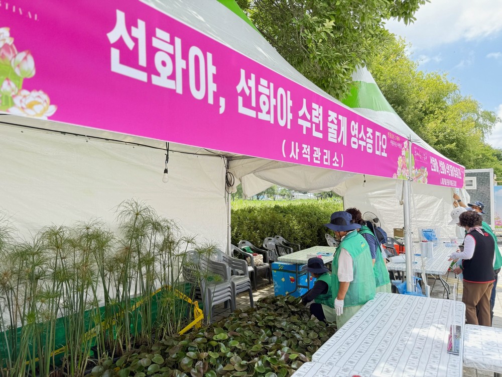 제24회 부여서동연꽃축제, 공연·체험·이벤트로 즐거움 더한다
