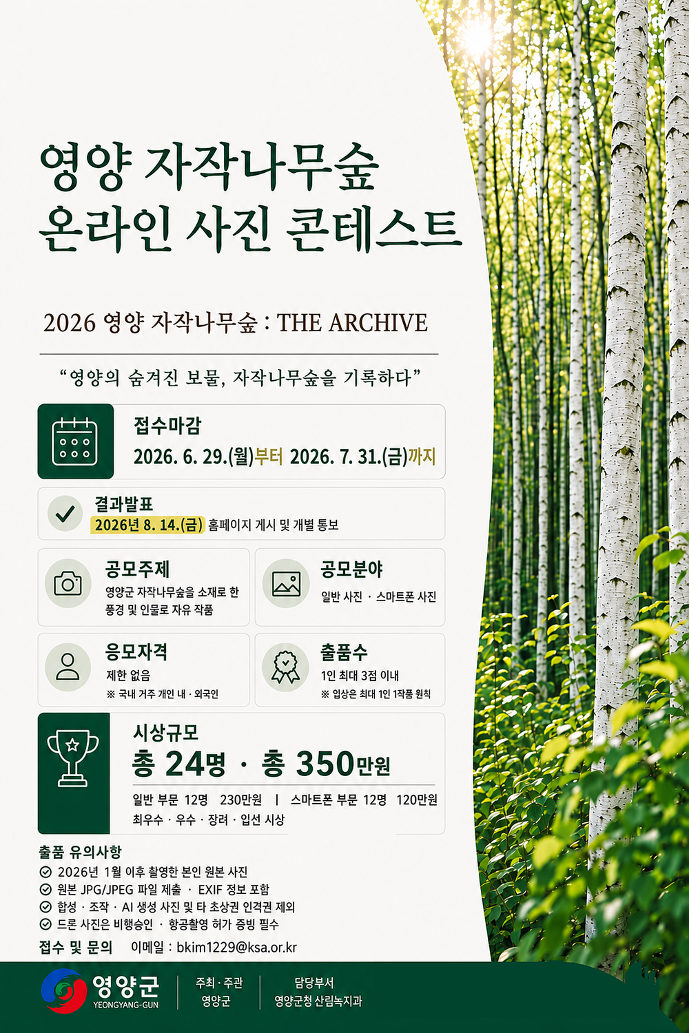 영양 자작나무숲 온라인 사진 콘테스트 개최