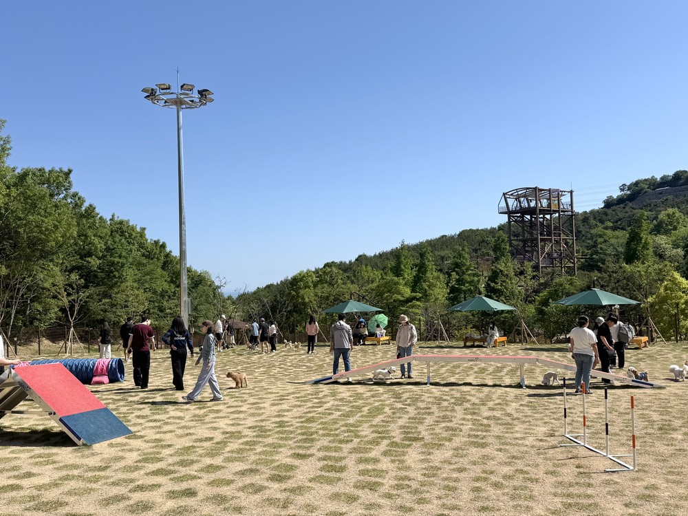 김해댕댕파크, 무더위 피해 밤에도 즐긴다