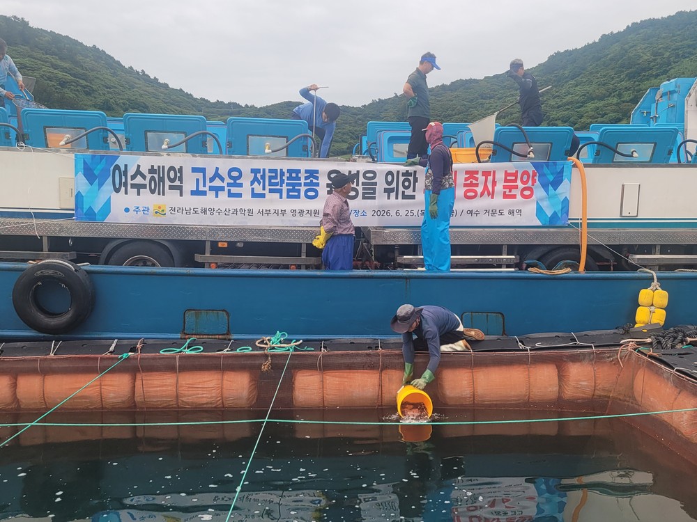 전남해수원, 고수온 대응 부세 종자 20만 마리 분양…대체 양식품종 육성