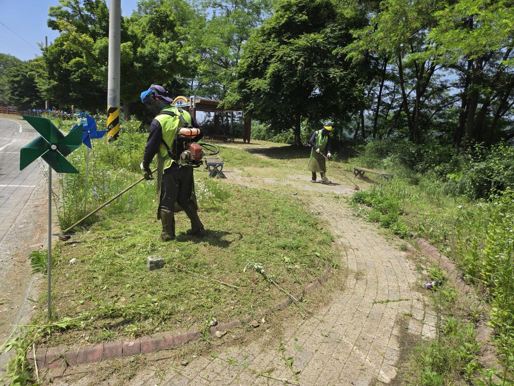 아산시 도고면, 도고천변 및 주요 도로 제초작업 실시...쾌적한 생활환경 조성