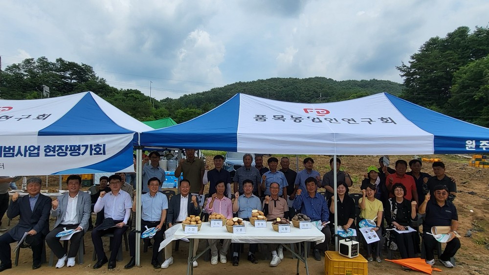 원주시, ‘우리도 육성 감자’ 현장평가회 개최