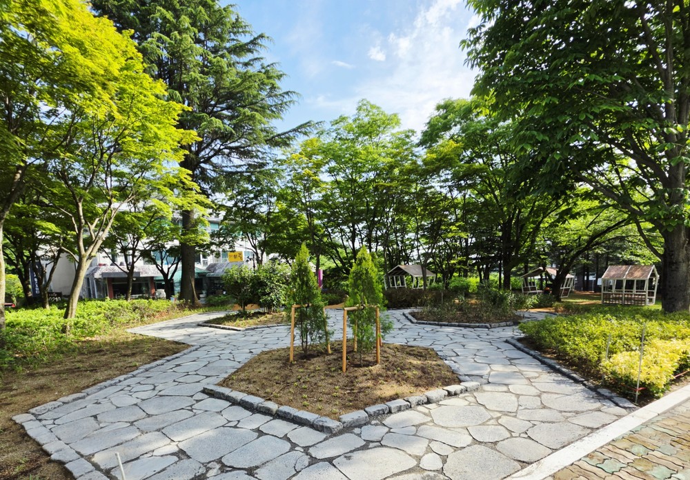 대구 동구, 팔공산 분수대광장 조경지 정비 완료