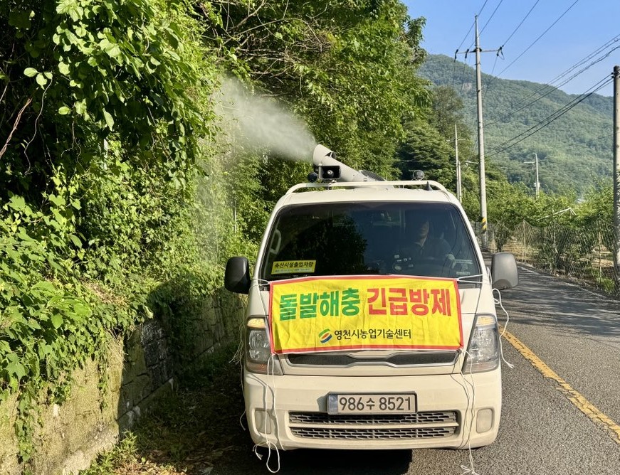 영천시, 과수 농림지 돌발해충 민·관 합동방제 실시
